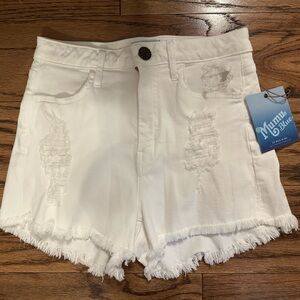 NEW Mumu Blue Denim Shorts